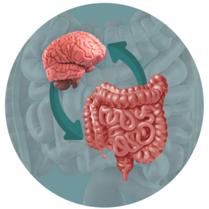 Irritable Bowel Syndrome (IBS)